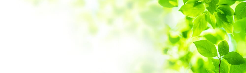 本気のツーショット体験～理想の出会い～